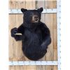 Image 1 : Extra Large Black Bear Half Body Taxidermy Mount