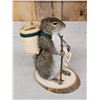 Image 2 : Backpacking Squirrel Taxidermy Mount