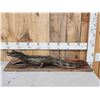 Image 1 : 3 1/2 Foot Ling Alligator Full Body Taxidermy Mount