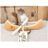 Image 2 : Squirrel In A Birch Bark Canoe Taxidermy