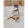 Image 3 : Squirrel In A Birch Bark Canoe Taxidermy