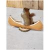 Image 4 : Squirrel In A Birch Bark Canoe Taxidermy