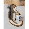 Image 2 : Naughty Squirrel Taxidermy Mount
