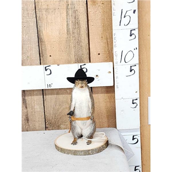 Sheriff Squirrel Taxidermy