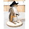 Image 2 : Sheriff Squirrel Taxidermy