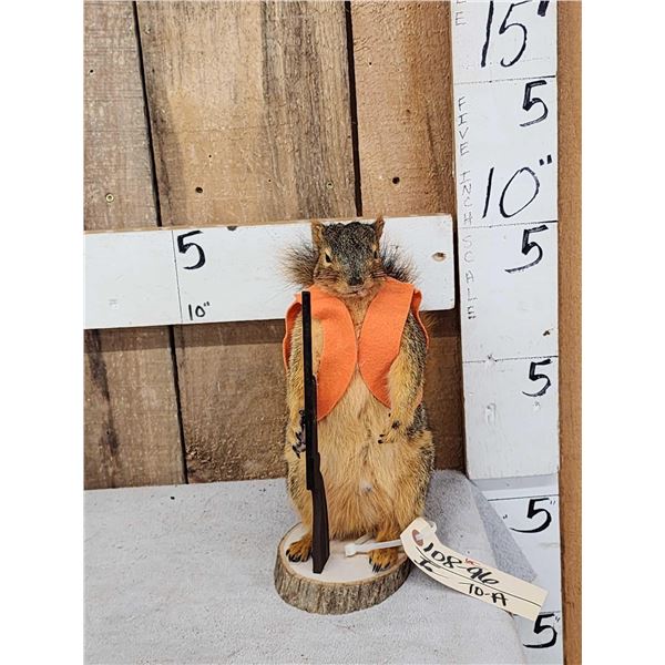 Hunting Squirrel Taxidermy Mount
