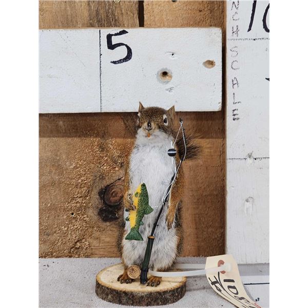 Fishing Squirrel Taxidermy Mount