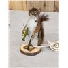 Image 3 : Fishing Squirrel Taxidermy Mount