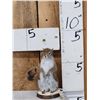Image 1 : Pine Squirrel Full Body Taxidermy Mount