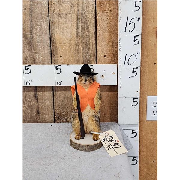 Hunting Squirrel Taxidermy