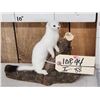 Image 2 : Weasel On Driftwood Taxidermy