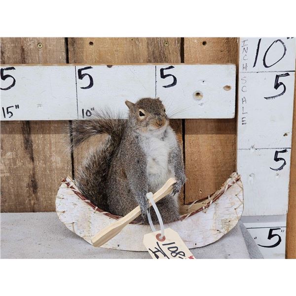 Squirrel In A Birch Bark Canoe Taxidermy