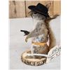 Image 3 : Sheriff Squirrel Full Body Taxidermy Mount