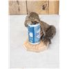 Image 2 : Drunken Squirrel Full Body Taxidermy Mount