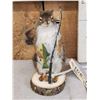 Image 2 : Fishing Squirrel Full Body Taxidermy Mount