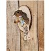 Image 2 : Naughty Squirrel Taxidermy Mount