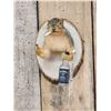 Image 2 : Naughty Squirrel Taxidermy Mount