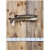 Image 4 : 31" Northern Pike Real Skin Fish Taxidermy