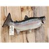 Image 4 : 32" Rainbow Trout Real Skin Fish Taxidermy