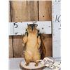 Image 1 : Backpacking Squirrel Full Body Taxidermy Mount