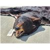 Image 3 : Nice Little Black Bear Rug Taxidermy