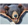 Image 2 : Black Bear Rug Taxidermy