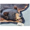 Image 3 : Black Bear Rug Taxidermy