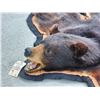 Image 4 : Black Bear Rug Taxidermy