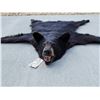 Image 5 : Black Bear Rug Taxidermy