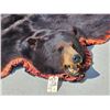 Image 4 : Big Black Bear Rug Taxidermy