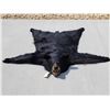 Image 1 : Nice Black Bear Rug Taxidermy