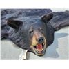 Image 2 : Nice Black Bear Rug Taxidermy