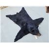 Image 5 : Nice Black Bear Rug Taxidermy