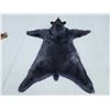 Image 6 : Nice Black Bear Rug Taxidermy