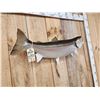 Image 4 : 35" Rainbow Trout Real Skin Fish Taxidermy