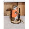 Image 2 : Hunting Squirrel Full Body Taxidermy Mount