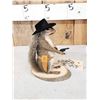 Image 2 : Sheriff Squirrel Full Body Taxidermy Mount