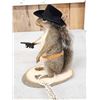 Image 3 : Sheriff Squirrel Full Body Taxidermy Mount