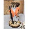 Image 2 : Hunting Squirrel Full Body Taxidermy Mount