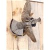Image 4 : Ruffed Grouse In Flight Bird Taxidermy