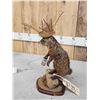 Image 3 : Partying Groundhog Taxidermy Mount