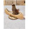 Image 4 : Squirrel In A Birch Bark Canoe Taxidermy