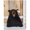 Image 1 : Black Bear Table Top Bust Taxidermy