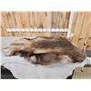 Image 1 : Reindeer Soft Tanned Skin Taxidermy