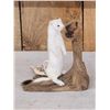 Image 2 : Weasel On Driftwood Taxidermy Mount