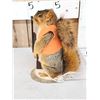 Image 3 : Hunting Squirrel Full Body Taxidermy Mount