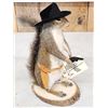 Image 3 : Sheriff Squirrel Full Body Taxidermy Mount