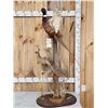 Image 1 : Rooster & Hen Ringneck Pheasants Taking Flight Bird Taxidermy