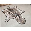 Image 5 : African Plains Zebra Rug Taxidermy
