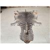 Image 1 : African Plains Zebra Soft Tanned Skin